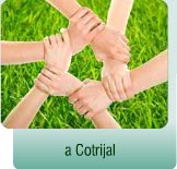 a Cotrijal