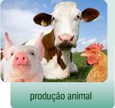 produ&ccedil;&atilde;o animal