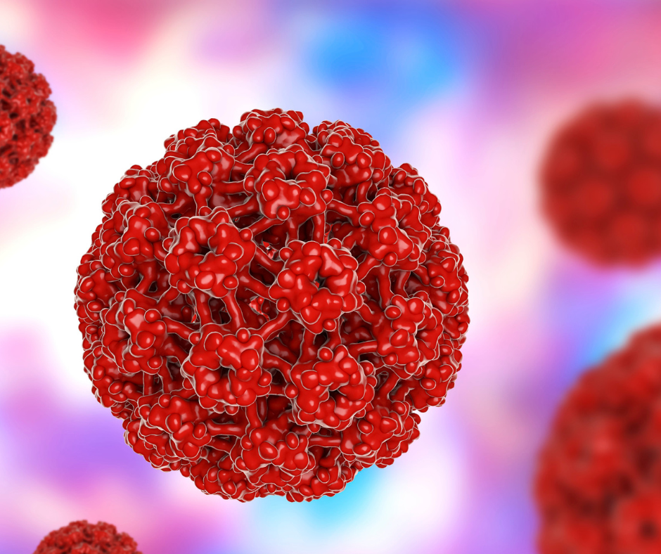 HPV na região anal 