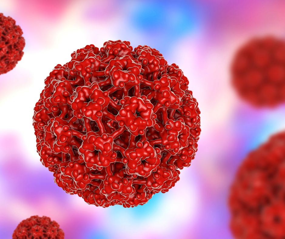 5 coisas que que ninguém te conta sobre o HPV