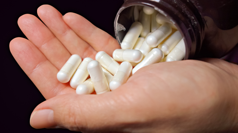 Como os probioticos ajudam nosso organismo? 