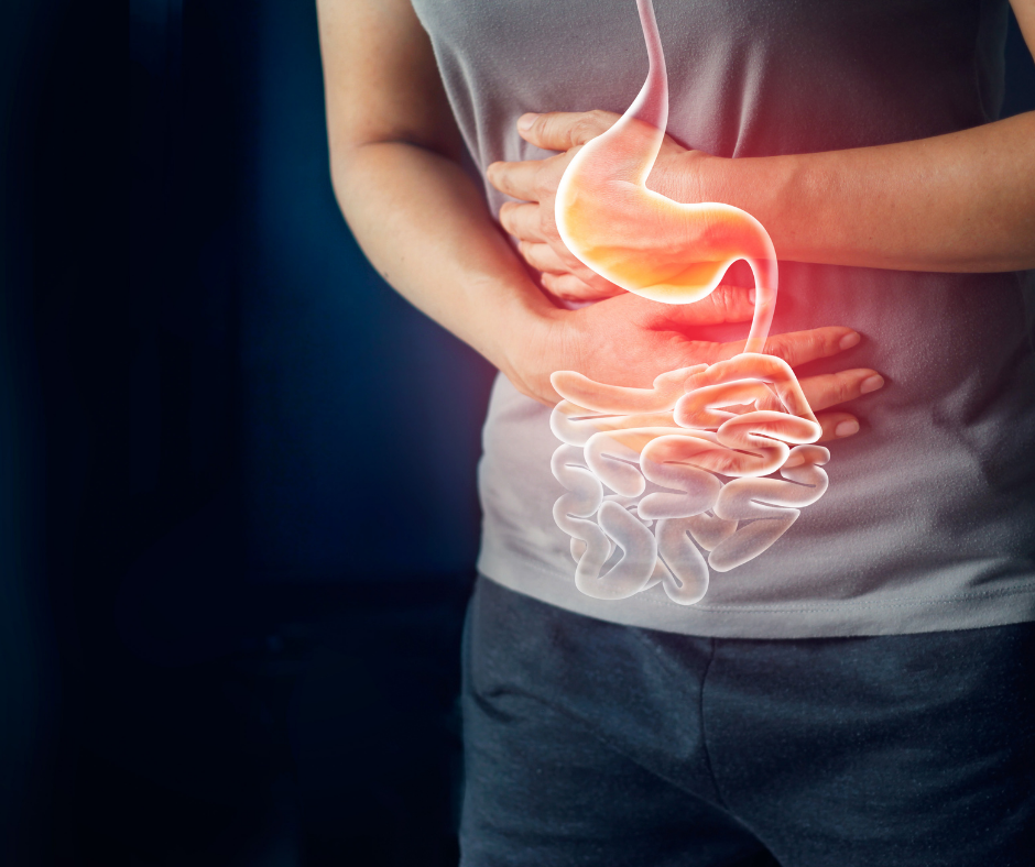 Como nossas emoções estão relacionadas à saúde intestinal?