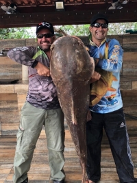DIVERSOS VISITANTES PESCADORES  