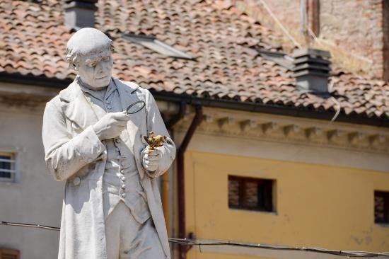 História da medicina