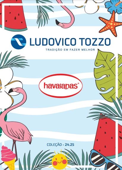 CA HAVAIANAS 24 25